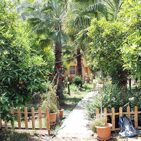 Oran Pansiyon Agac Evler Ξενοδοχείο Çıralı Εξωτερικό φωτογραφία