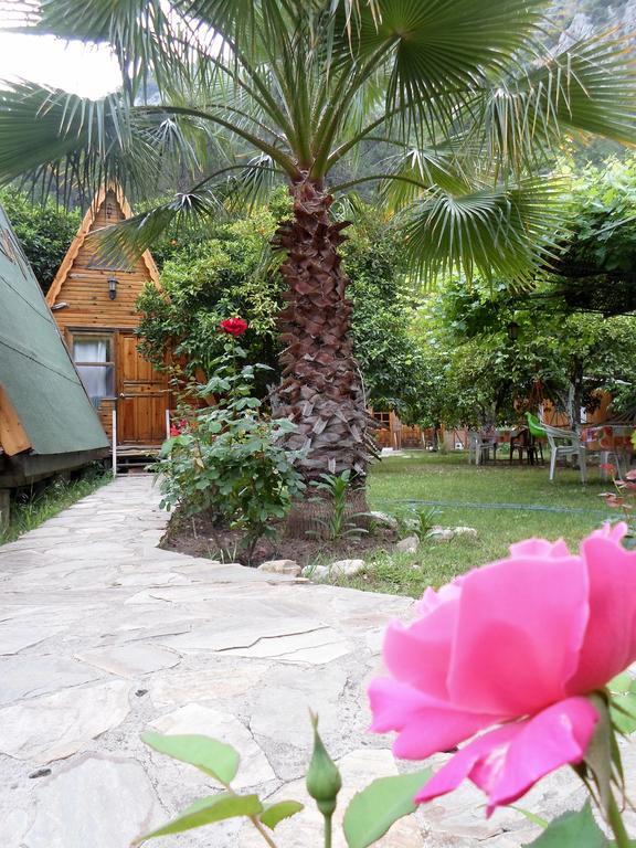 Oran Pansiyon Agac Evler Ξενοδοχείο Çıralı Εξωτερικό φωτογραφία