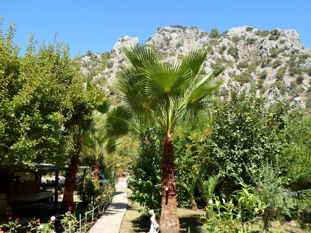 Oran Pansiyon Agac Evler Ξενοδοχείο Çıralı Εξωτερικό φωτογραφία